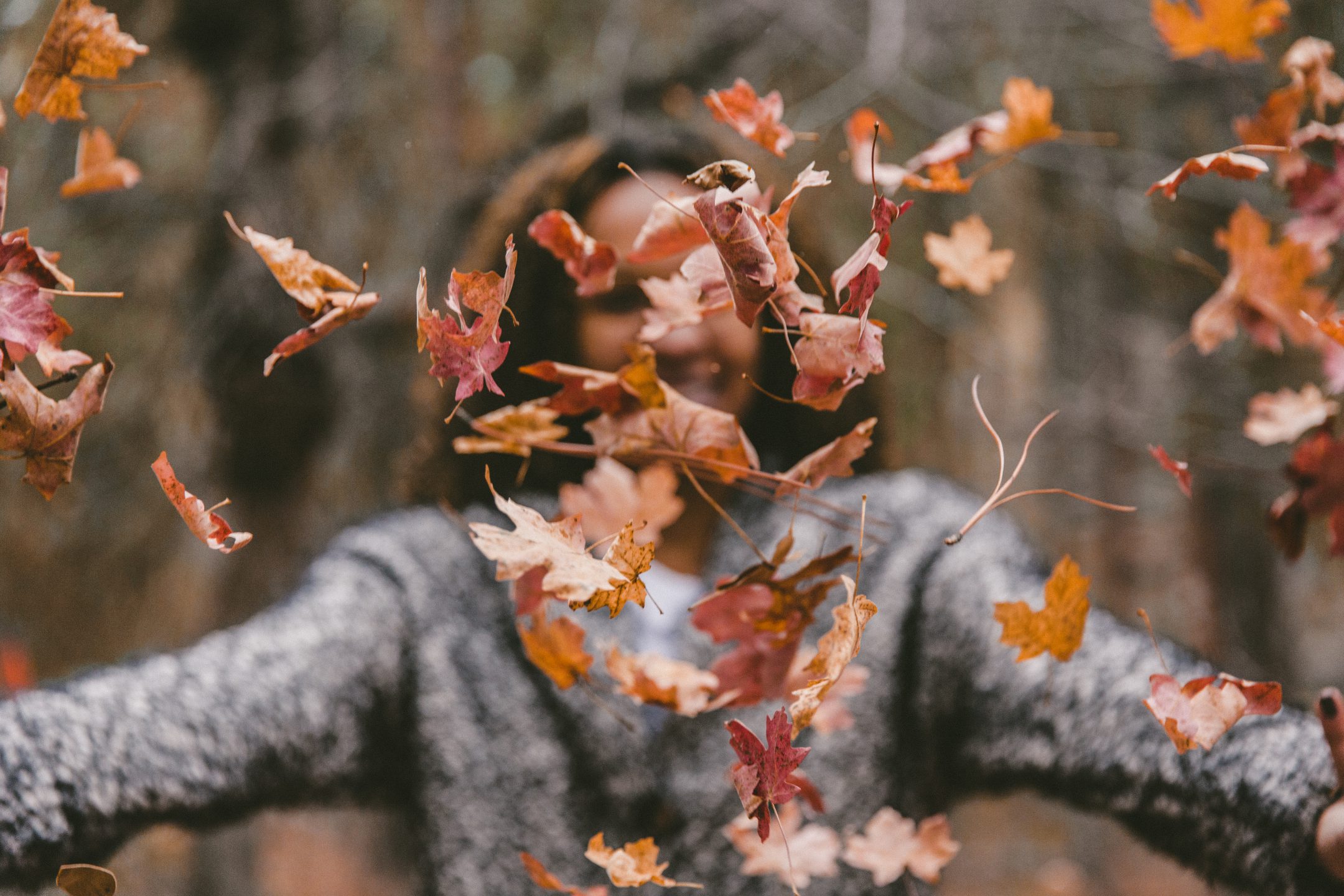 De herfst trends